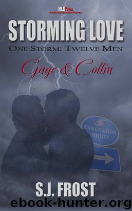Storming Love: Gage & Collin by S.J. Frost