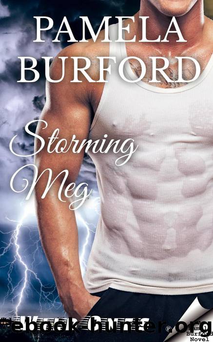 Storming Meg by Pamela Burford