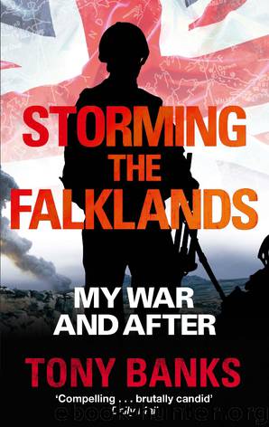 Storming The Falklands by Author