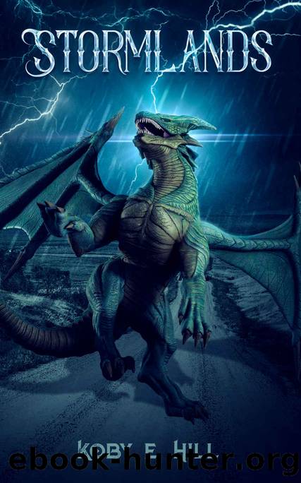 Stormlands: A New LitRPG Adventure by Koby E. Hill