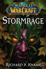 Stormrage (wow-7) by Richard A. Knaak