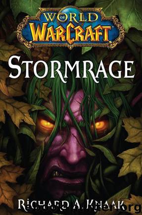 Stormrage by Richard A. Knaak