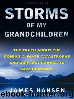 Storms of My Grandchildren by Hansen James