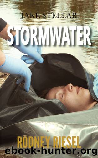 Stormwater by Riesel Rodney