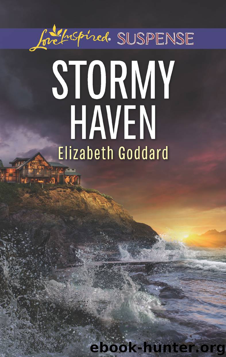 Stormy Haven by Elizabeth Goddard