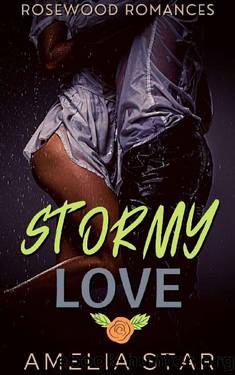 Stormy Love by Amelia Star