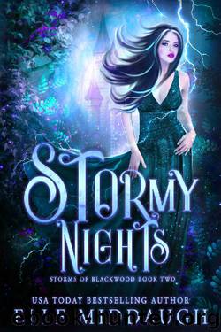 Stormy Nights (Storms of Blackwood Book 2) by Elle Middaugh