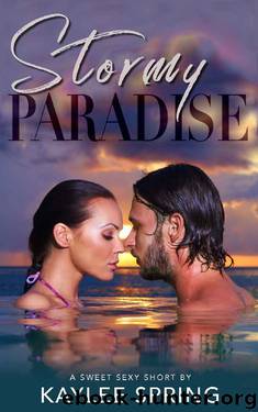 Stormy Paradise: A Second-Chance Romance Beach Read (Sweet, Sexy Shorts Book 14) by Kaylee Spring