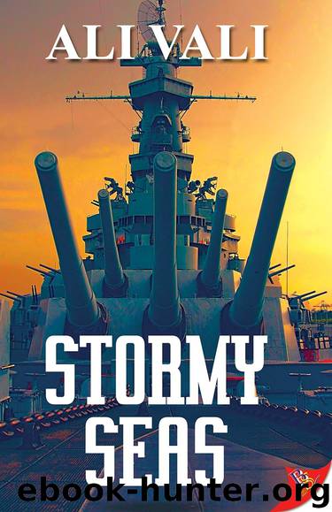 Stormy Seas by Ali Vali