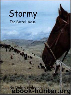Stormy The Barrel Horse by Ralph Galeano