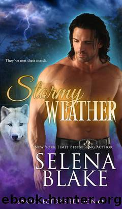 Stormy Weather Collector's Edition by Selena Blake