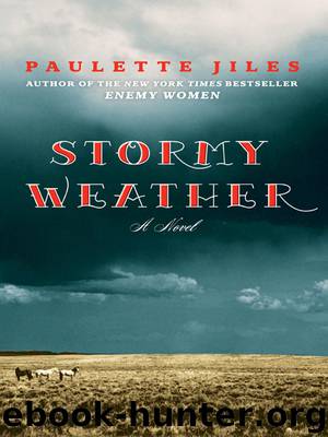 Stormy Weather by Paulette Jiles