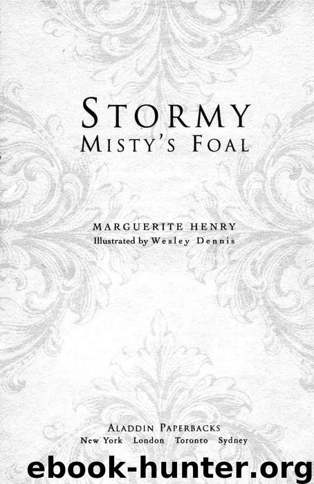 Stormy, Misty's Foal by Henry Marguerite