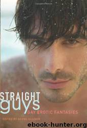 Straight Guys: Gay Erotic Fantasies by Shane Allison - Various Authors