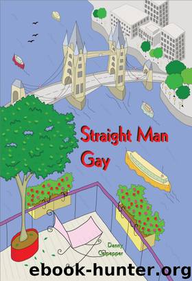 Straight Man Gay by Danny Culpepper