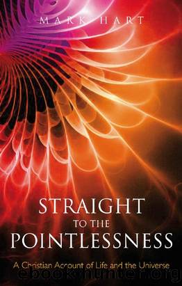 Straight to the Pointlessness : A Christian Account of Life and the Universe by Mark Hart