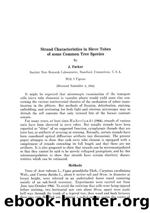 Strand characteristics in sieve tubes of some common tree species by Unknown