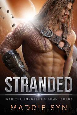 Stranded (Into the Smuggler's Arms Book 1) by Maddie Syn