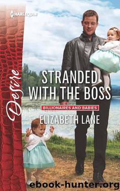 Stranded With The Boss by Lane Elizabeth