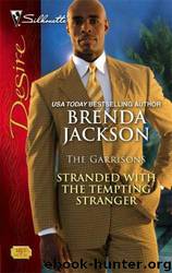 Stranded With the Tempting Stranger by Brenda Jackson