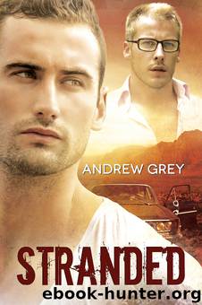 Stranded by Andrew Grey