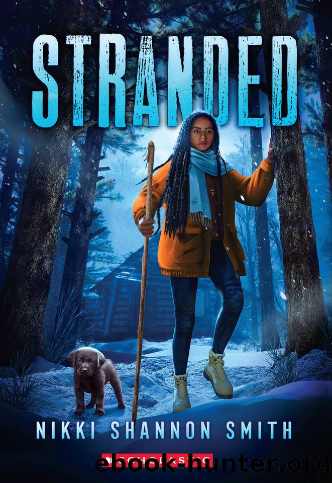 Stranded by Nikki Shannon Smith