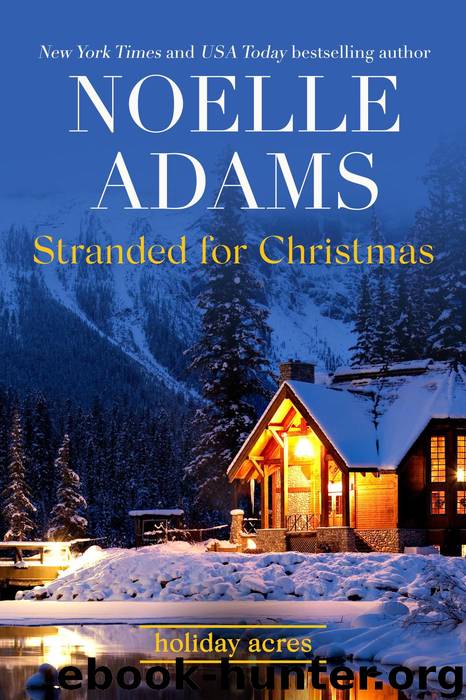 Stranded for Christmas by Noelle Adams