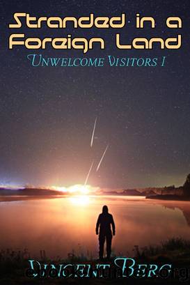 Stranded in a Foreign Land by Vincent Berg