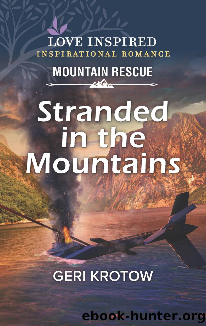 Stranded in the Mountains by Geri Krotow