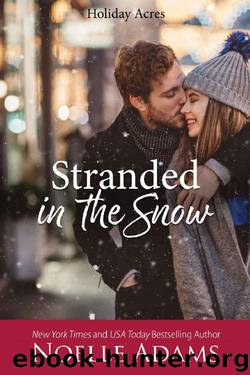 Stranded in the Snow (Holiday Acres Book 2) by Noelle Adams