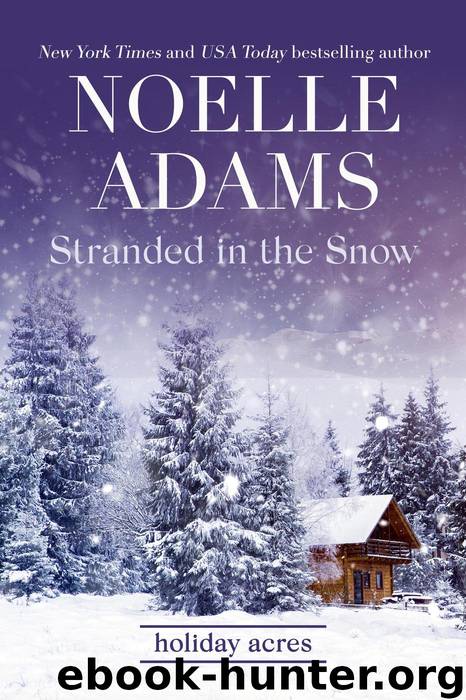 Stranded in the Snow by Noelle Adams