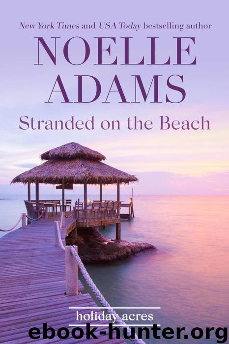 Stranded on the Beach by Noelle Adams