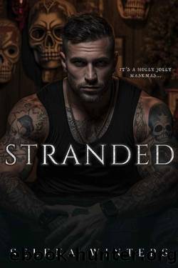 Stranded: A Dark Christmas Novella by Selena Winters