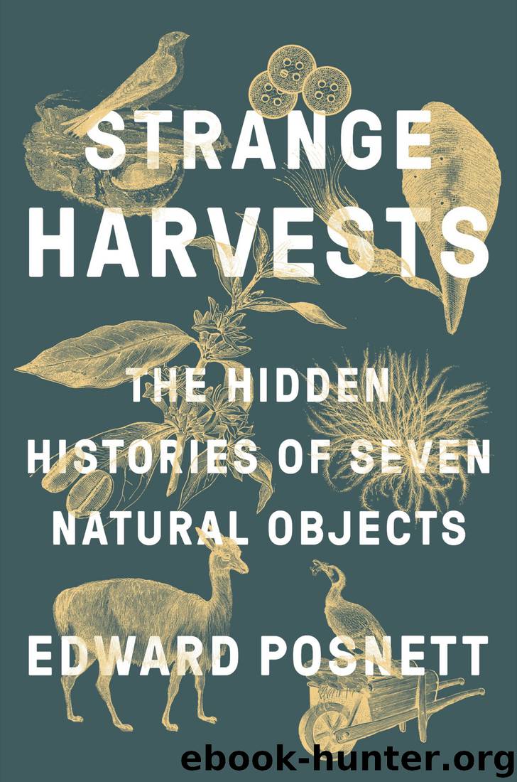 Strange Harvests: The Hidden Histories of Seven Natural Objects by Edward Posnett