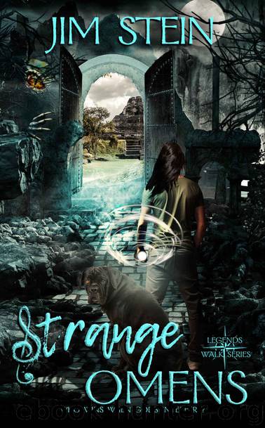 Strange Omens by Jim Stein