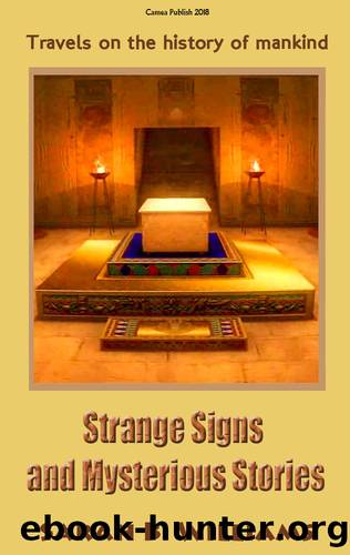 Strange Signs and Mysterious Stories: Travels on the history of mankind by Sarah B. Williams