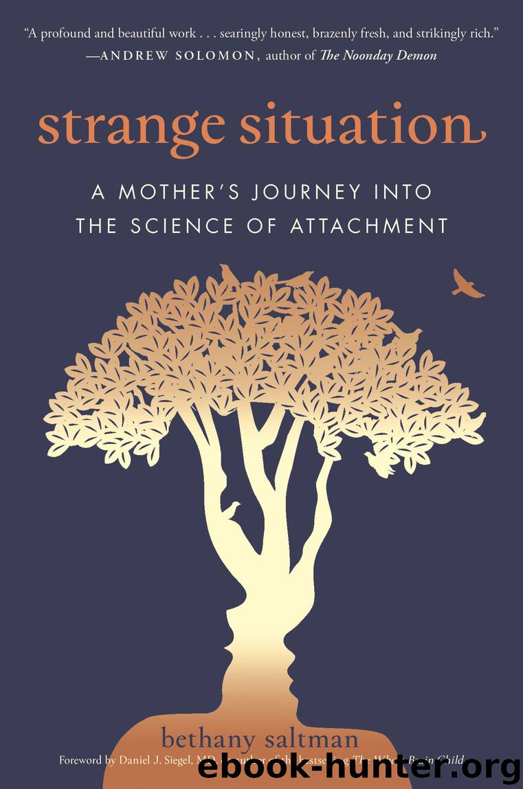 Strange Situation by Bethany Saltman