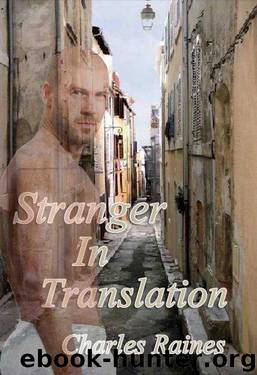 Stranger In Translation by Charles Raines