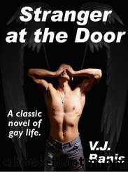 Stranger at the Door by Victor J. Banis