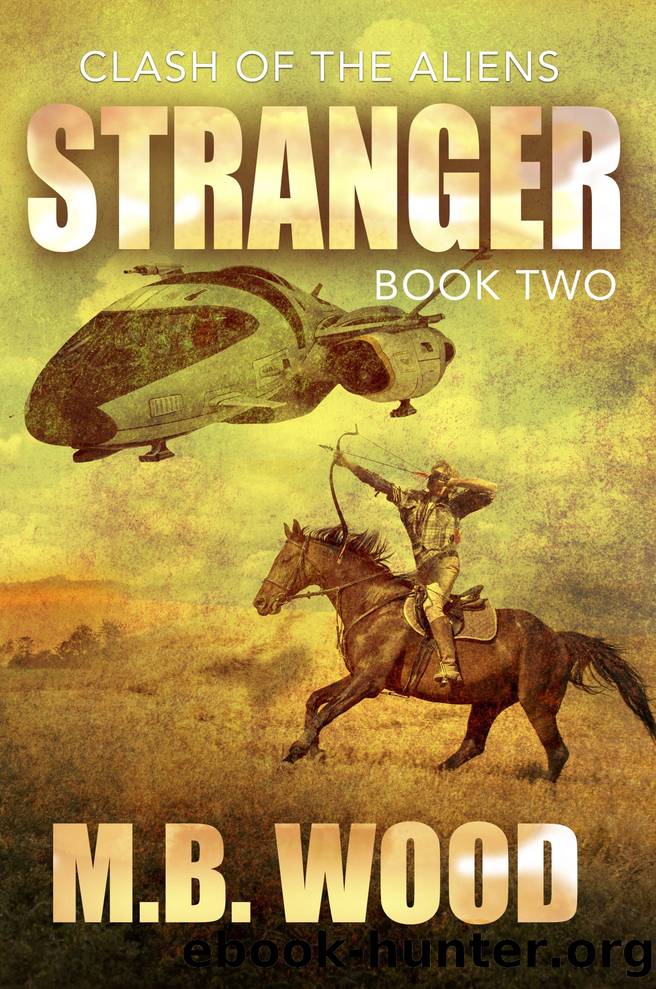 Stranger by M.B. Wood