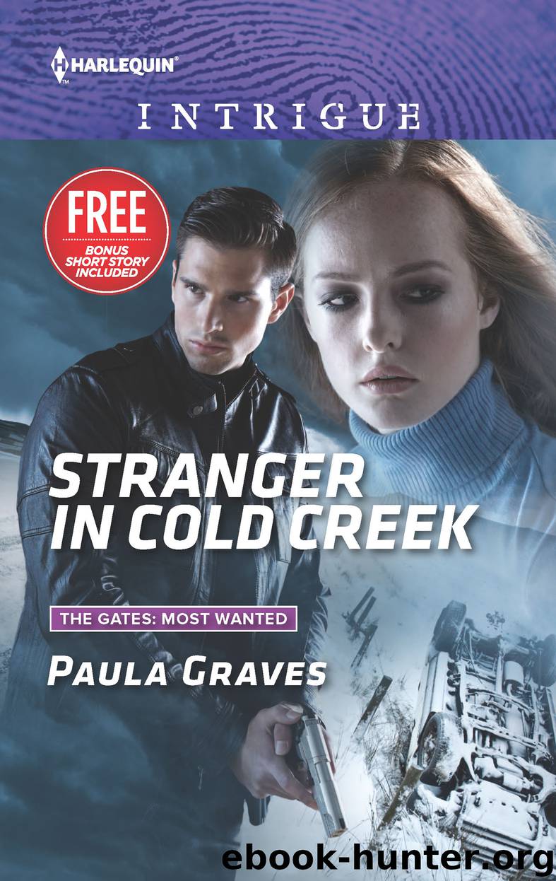 Stranger in Cold Creek by Paula Graves