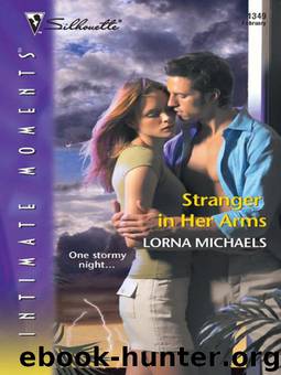 Stranger in Her Arms by Michaels Lorna
