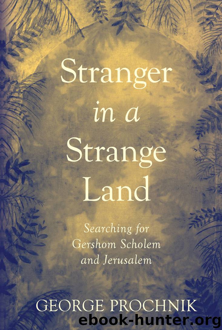 Stranger in a Strange Land by George Prochnik