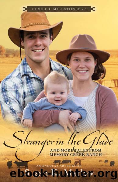 Stranger in the Glade by Susan K. Marlow