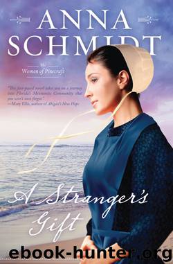 Stranger's Gift by Anna Schmidt