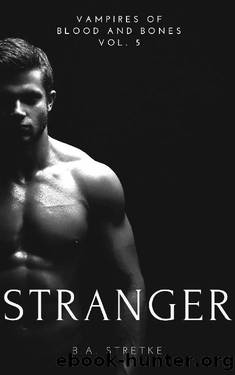 Stranger: Vampires of Blood and Bones Vol. 5 by B.A. Stretke