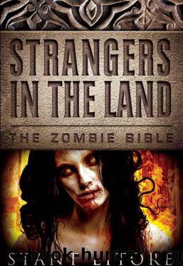 Strangers in the Land by Stant Litore