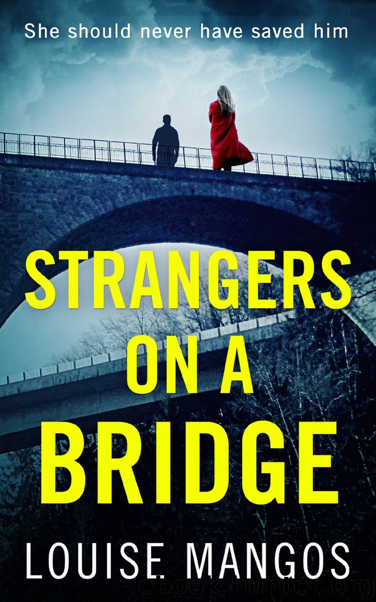Strangers on a Bridge: A gripping debut psychological thriller! by louise mangos