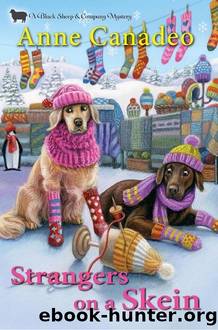 Strangers on a Skein by Anne Canadeo