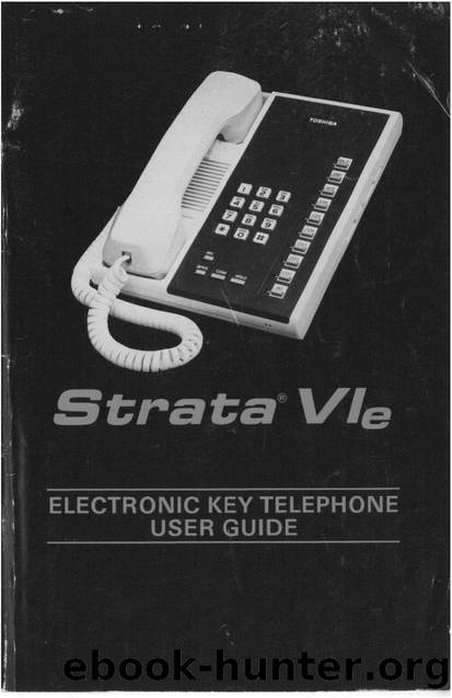 Strata VIe User Guide by EZ Manuals